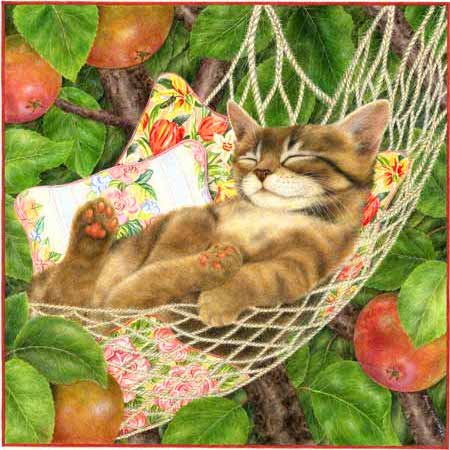 petit chat